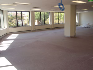 Strip out 2